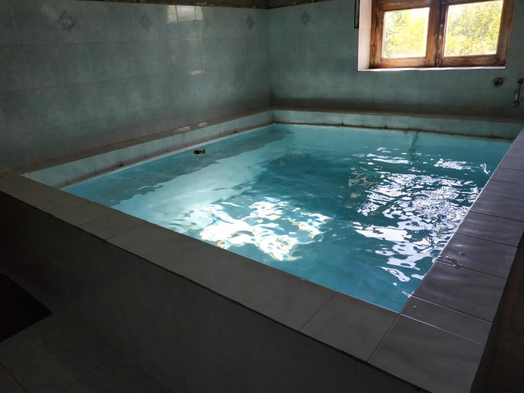 een groot zwembad met water in een kamer met een raam bij Сибиряк in Tskaltubo