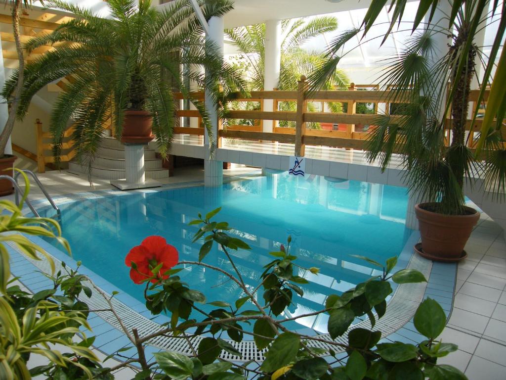 Bazén v ubytování Wellness Hotel Kakadu nebo v jeho okolí