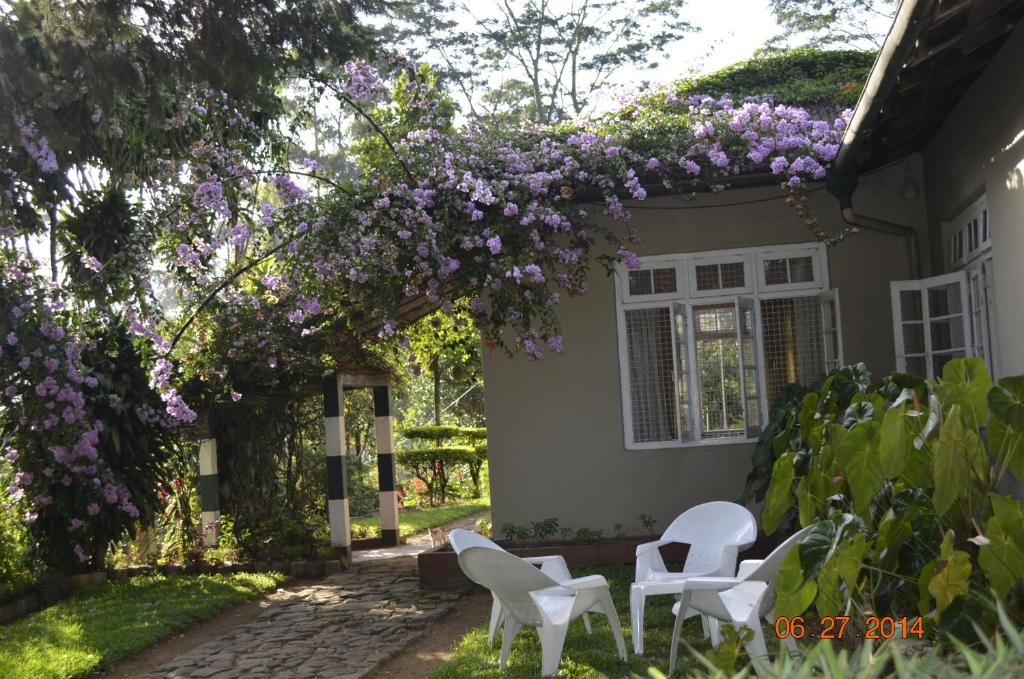 a group of white chairs sitting in front of a house with purple flowers at Devon Fall Cottage in Dimbula