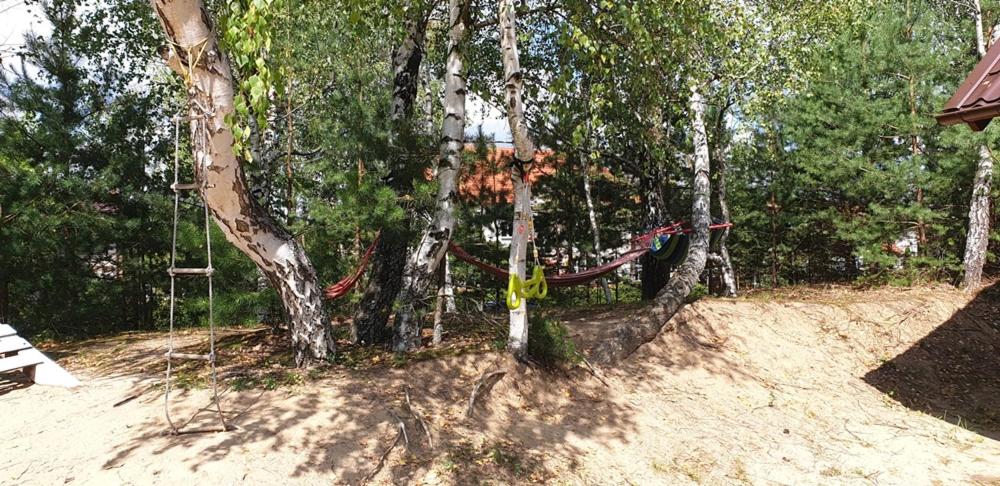 Vonkajšia záhrada v ubytovaní PokojeKajaki DD Swornegacie