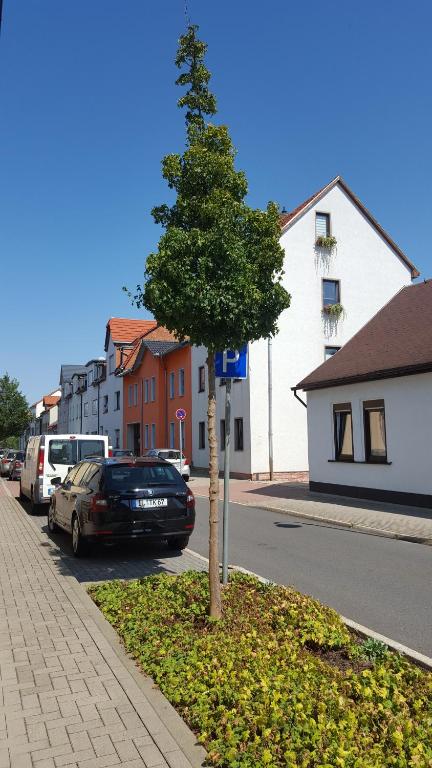 ein kleiner Baum am Straßenrand in der Unterkunft Himmelblau in Ilmenau