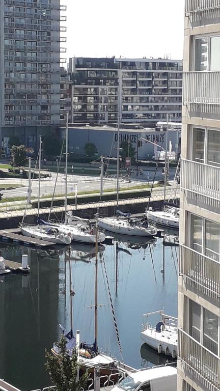 een groep boten aangemeerd in een jachthaven met gebouwen bij Ostend Sea Paradise in Oostende