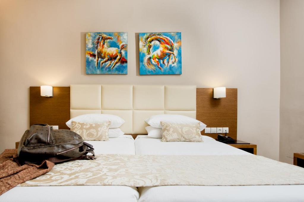AAR Hotel & Spa - Comfort Double Room