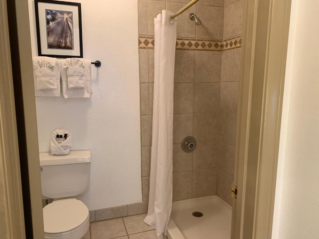 The North Shore Inn - Budget Double Room - Pet Friendly