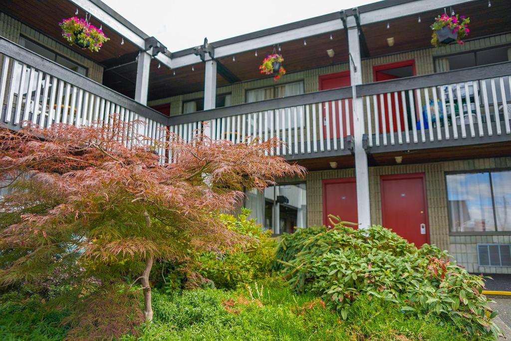 Zahrada ubytování Thunderbird Motor Inn