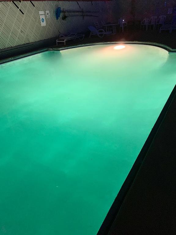 Bazén v ubytování Safari Motor Inn - Joshua Tree nebo v jeho okolí