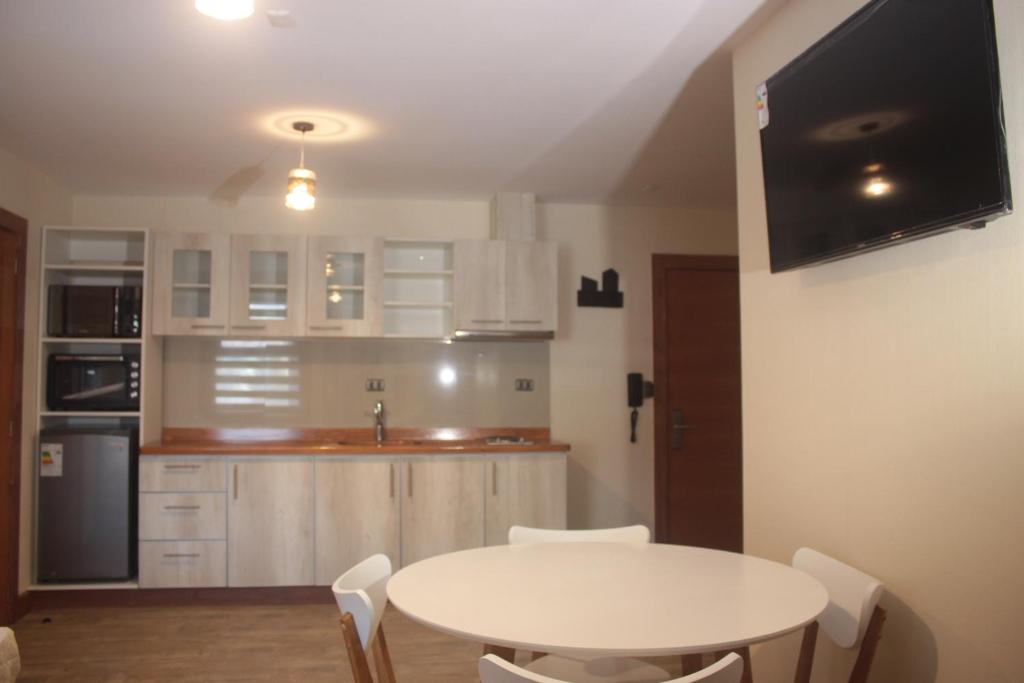 Kuchyň nebo kuchyňský kout v ubytování Entre Cumbres Apart Hotel