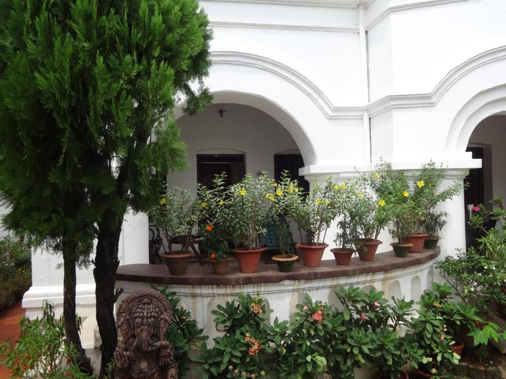 Zahrada ubytování Hotel Gandhara