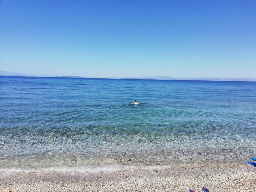a person in the water on a beach at Fotis Apartments in Skála Néon Kydonión