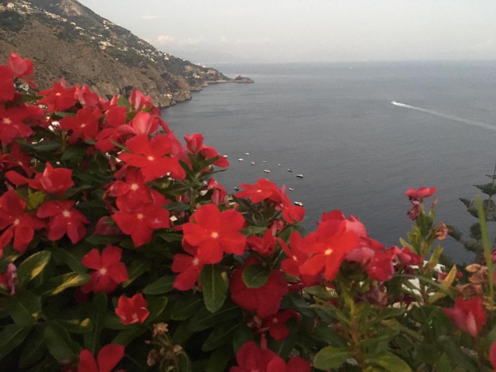 - une vue sur l'océan depuis la brousse ornée de fleurs rouges dans l'établissement Coastal Cliff, Amalfi, à Pianillo