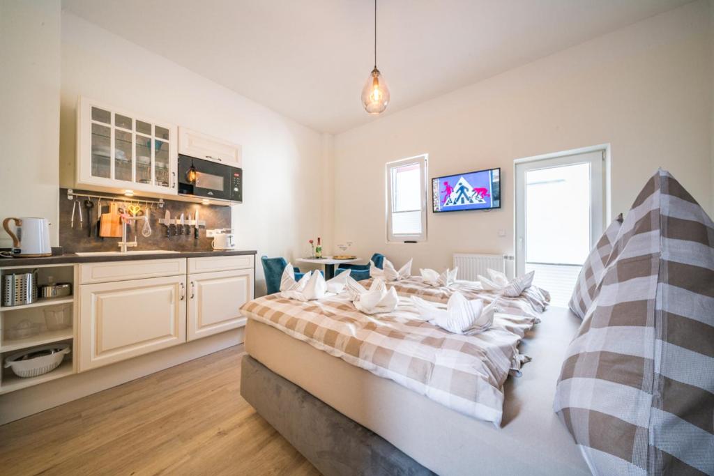 Kuchyň nebo kuchyňský kout v ubytování Villa Sofia