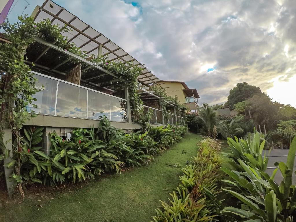  Orquídea Café