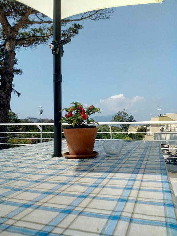 Balkon lub taras w obiekcie MARGIE'S HOUSE
