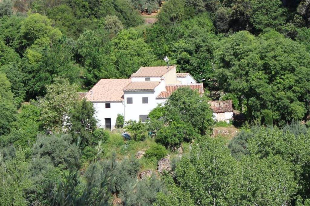 una casa al lado de una colina con árboles en La Cabieda - Junto al Río Cañamares - ideal para grupos y familias, en Chilluévar