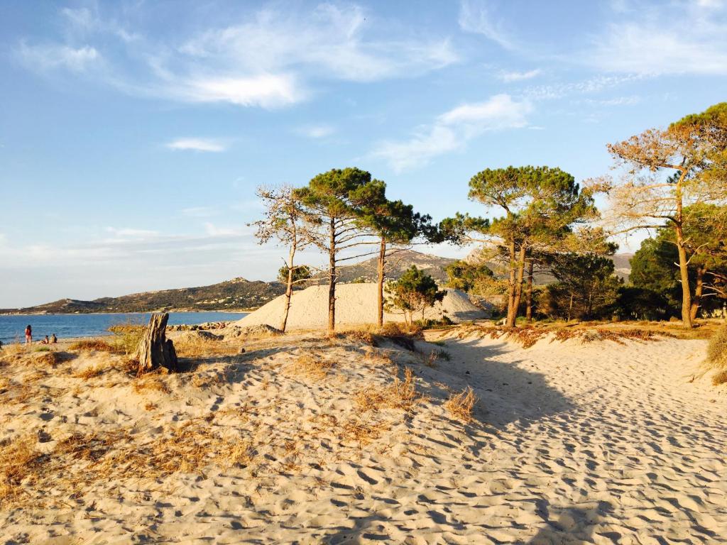 a sandy beach with trees and the water at Camping Dolce Vita in Calvi