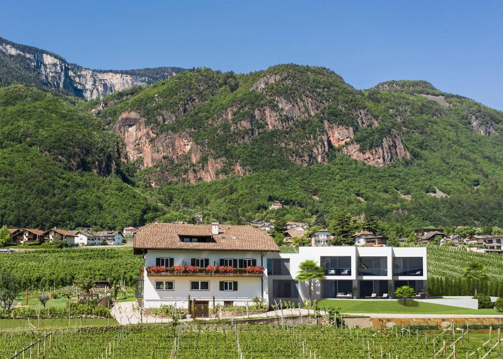 a house in a vineyard with a mountain in the background at Hotel Garni Sonngart in Andrian