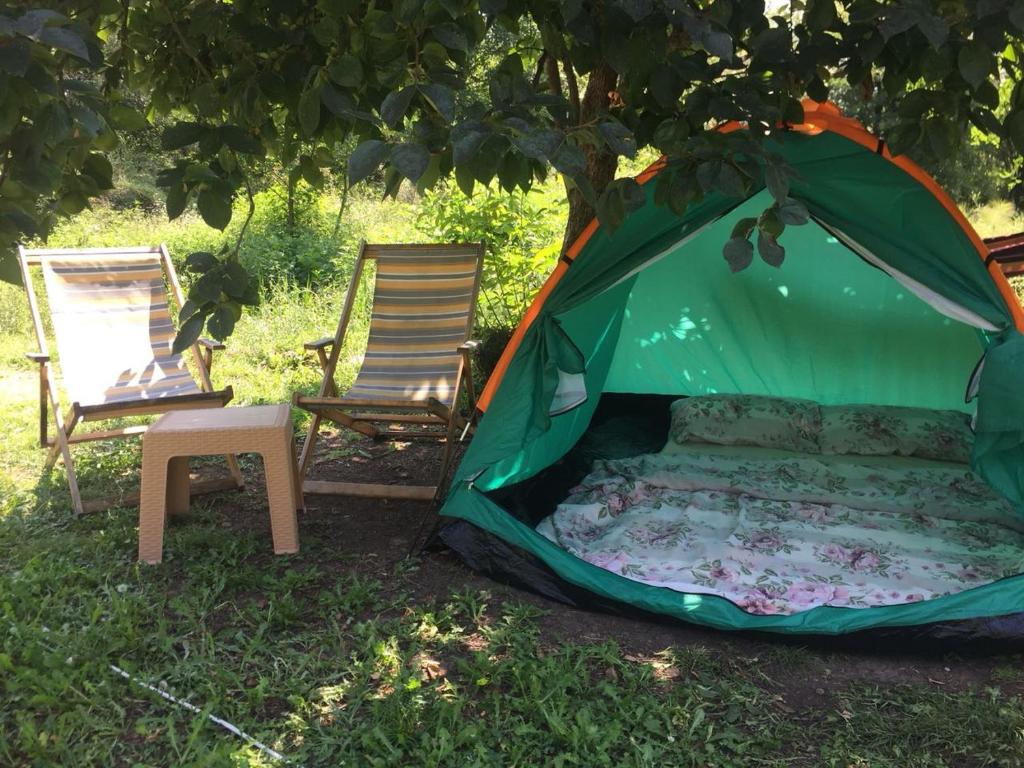 Zahrada ubytování Camp Podkraj