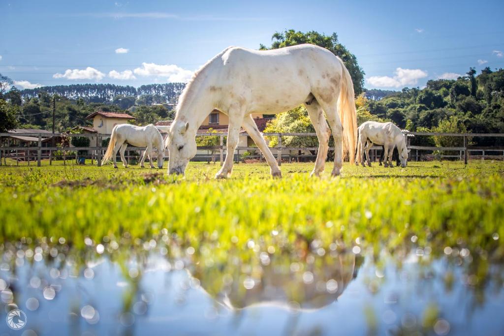  Hotel Fazenda Hípica Atibaia
