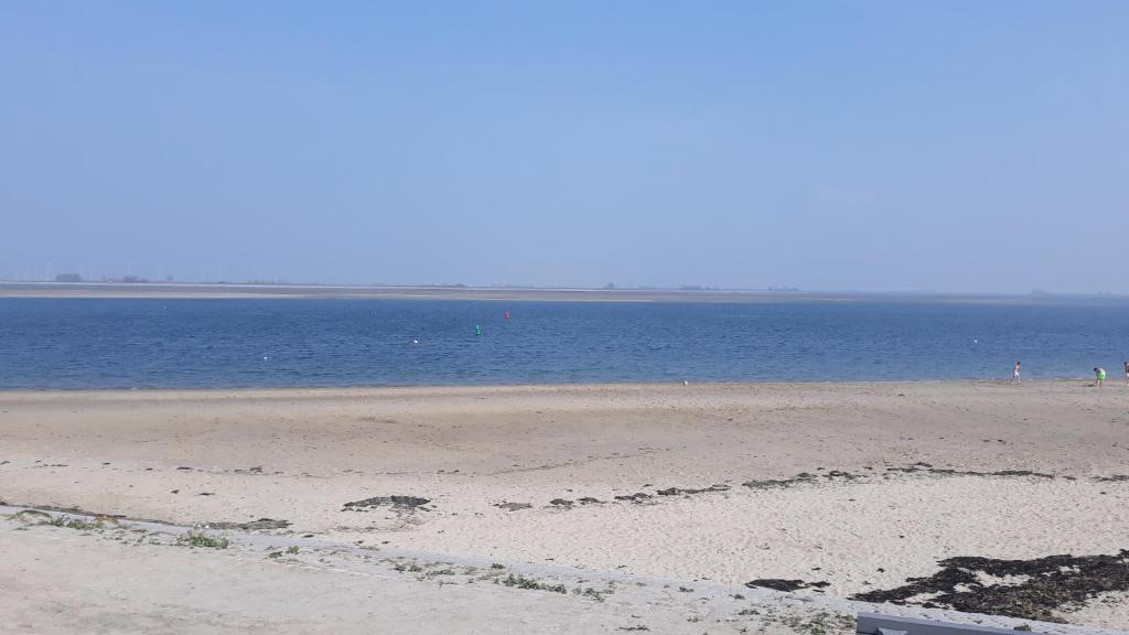 a sandy beach with a large body of water at gezellige cottage in zeeland in Sint Annaland