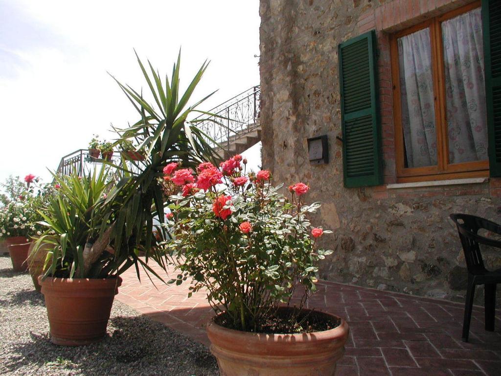 Zahrada ubytování Casa Guaitoli