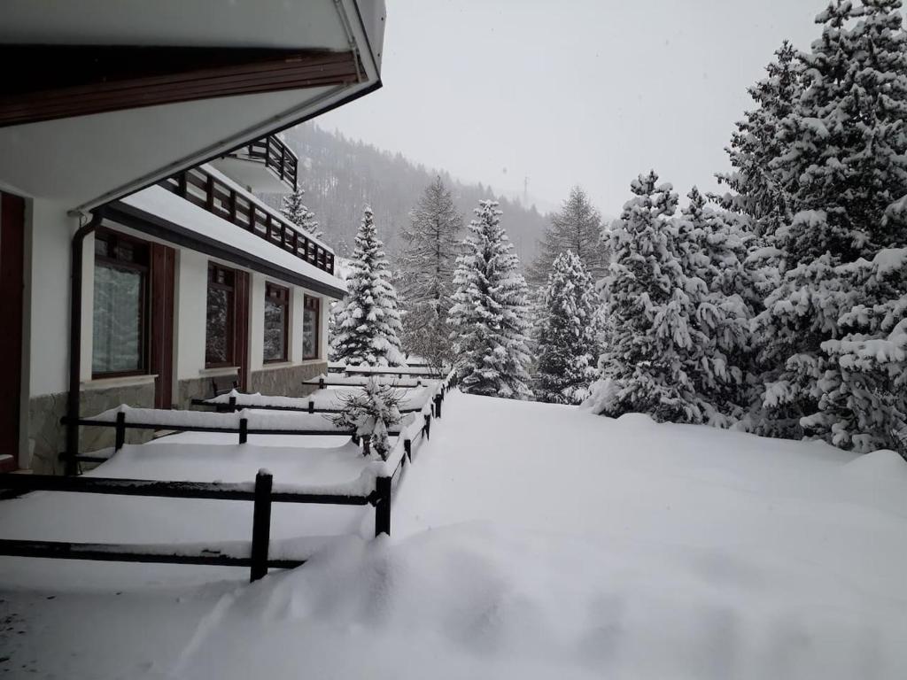 Appartamento Pragelato centro con giardino privato during the winter