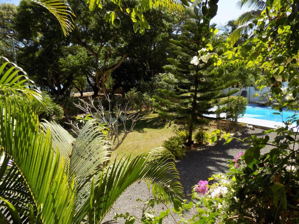 Bazén v ubytování Villa Osumare Guest House nebo v jeho okolí