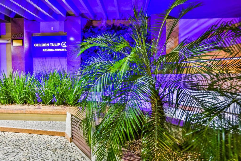  Golden Tulip Goiania Address