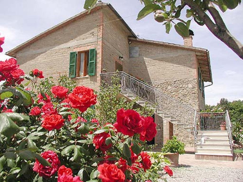 Zahrada ubytování Casa Guaitoli