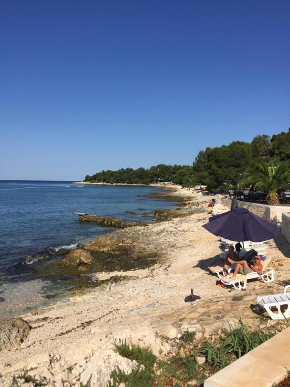 Przyroda w pobliżu tego apartamentu