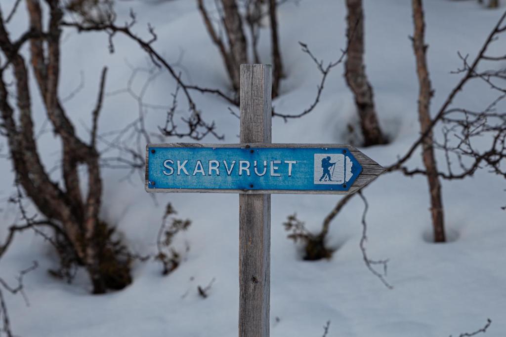 Skarvruets Högfjällshotell зимой