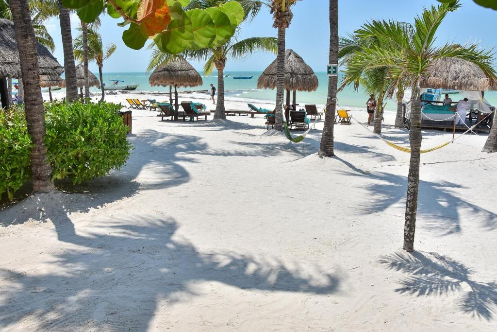 een schaduw van een persoon op een strand met palmbomen bij Amaite Beach Hotel in Holbox Island