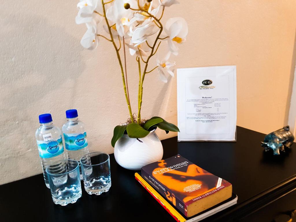 Fotografie z fotogalerie ubytování Eventuality B&B New Kingston v destinaci Kingston