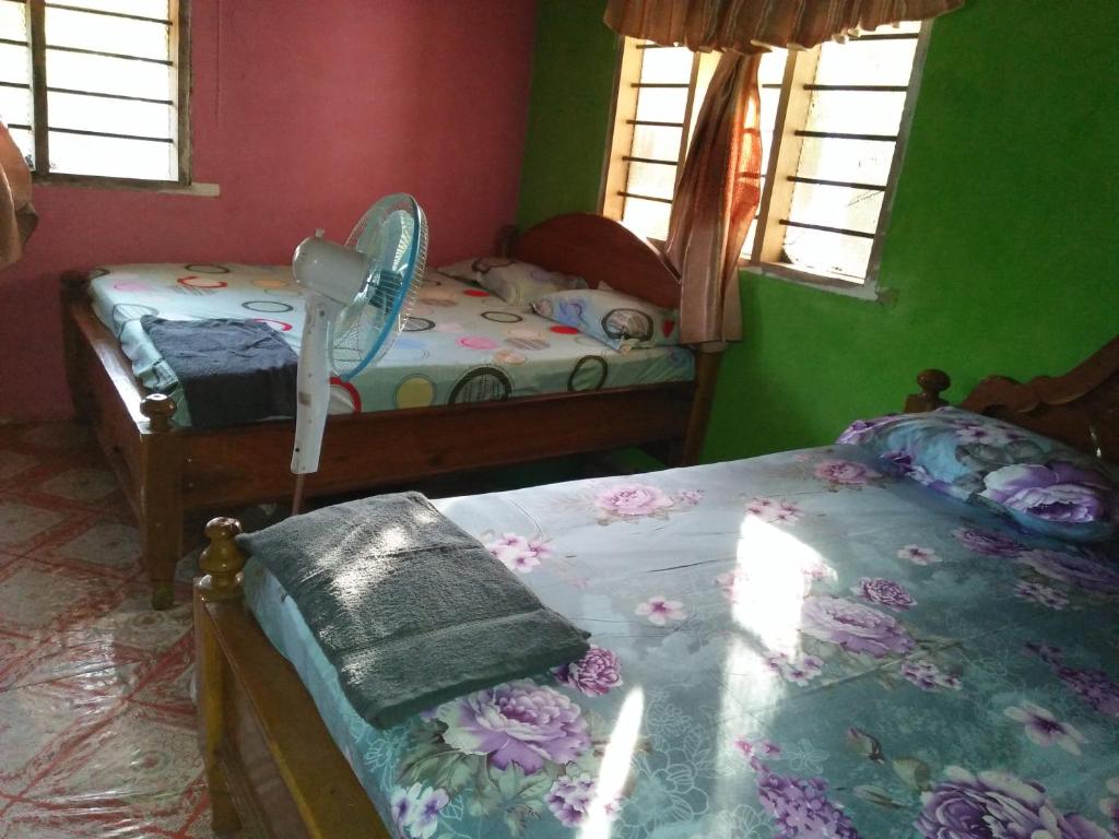 Postel nebo postele na pokoji v ubytování Wasini Raha Snorkeling and Diving