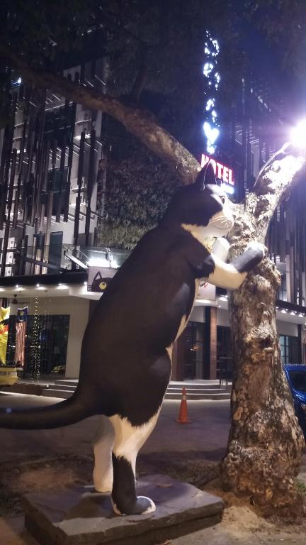 Zvířata v hotelu nebo okolí