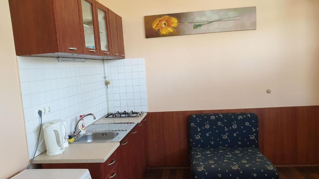 Kuchyňa alebo kuchynka v ubytovaní Gyulai Meseház Apartman