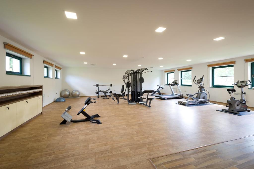 Fitness centrum a/nebo fitness zařízení v ubytování Resort Johanka