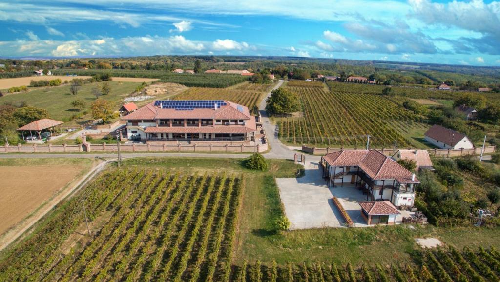 an aerial view of a farm with a house and vineyards at Ebner Pince - Panzió in Turbékpuszta