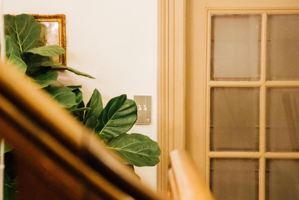 a mirror reflection of a plant next to a door at Hotel ML in Haarlem
