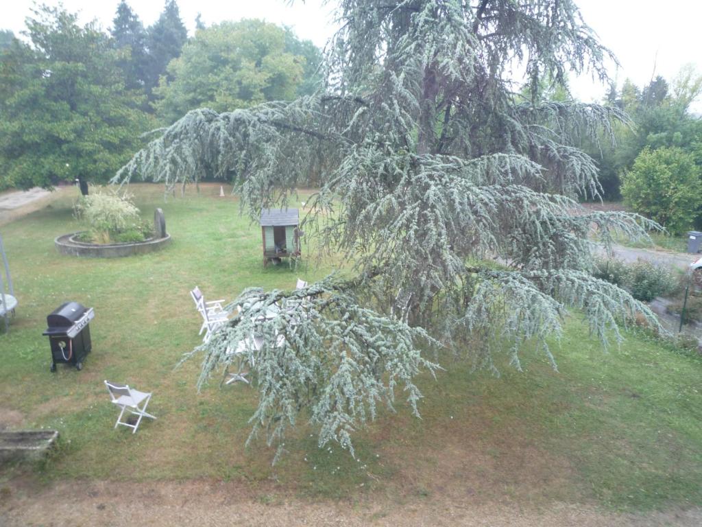 un arbre dans une cour avec deux chaises et un grill dans l'établissement Ferme de Launay, à Chançay