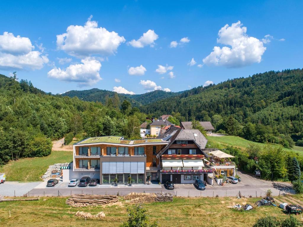 an aerial view of a house in the mountains at Weinhotel Pfeffer & Salz in Gengenbach