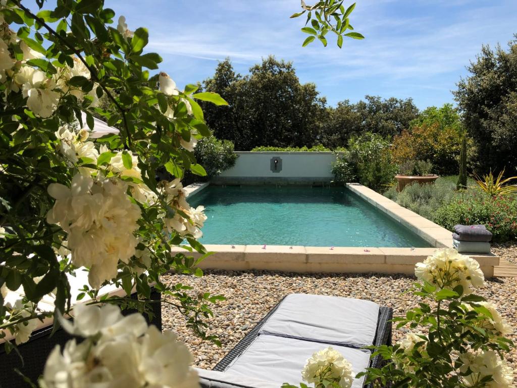 a swimming pool in a garden with white flowers at LES SANTOLINES - Studio Retro in Aigaliers