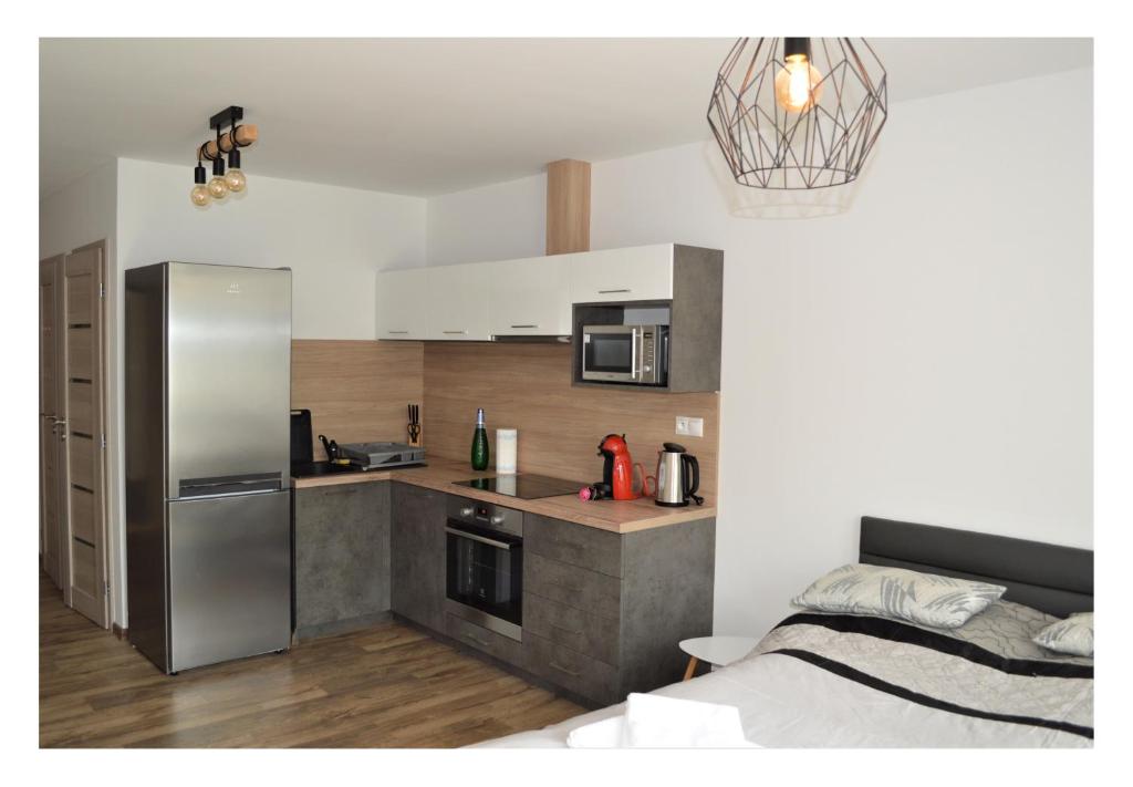 A kitchen or kitchenette at SGL apartments Lavickova