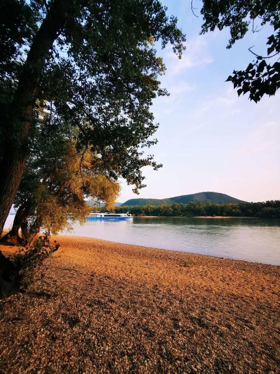 Táj Show holiday homes közelében