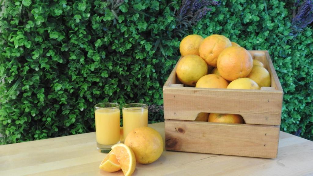 a crate of oranges and two glasses of orange juice at Legendary Porto Hotel in Porto
