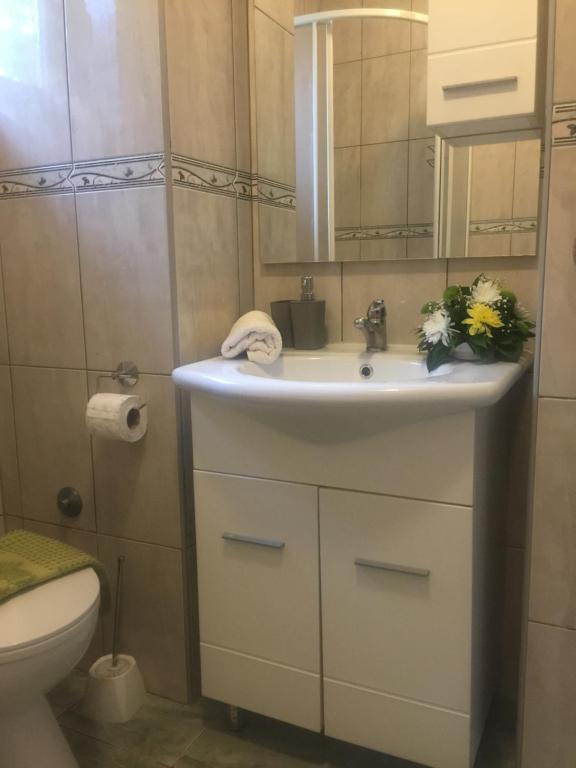 a bathroom with a sink and a toilet at Stan na dan Gradiška/Bos. Gradiška in Bosanska Gradiška