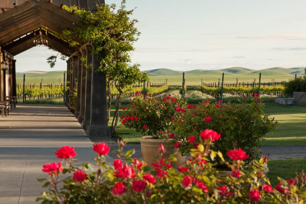a garden with red flowers and a wooden at The Inn at Abeja in Walla Walla