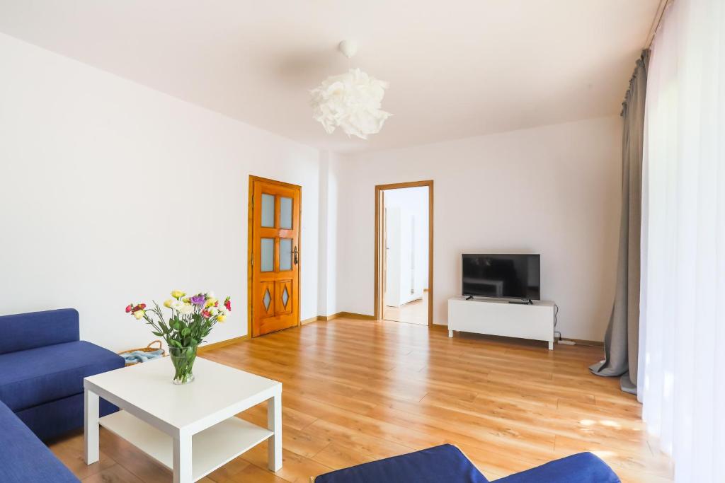 Televízia a/alebo spoločenská miestnosť v ubytovaní Apartament Pod Winogronami