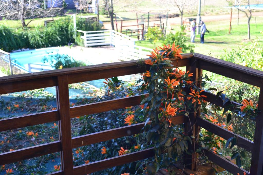 Un jardín fuera de Yataí Casas