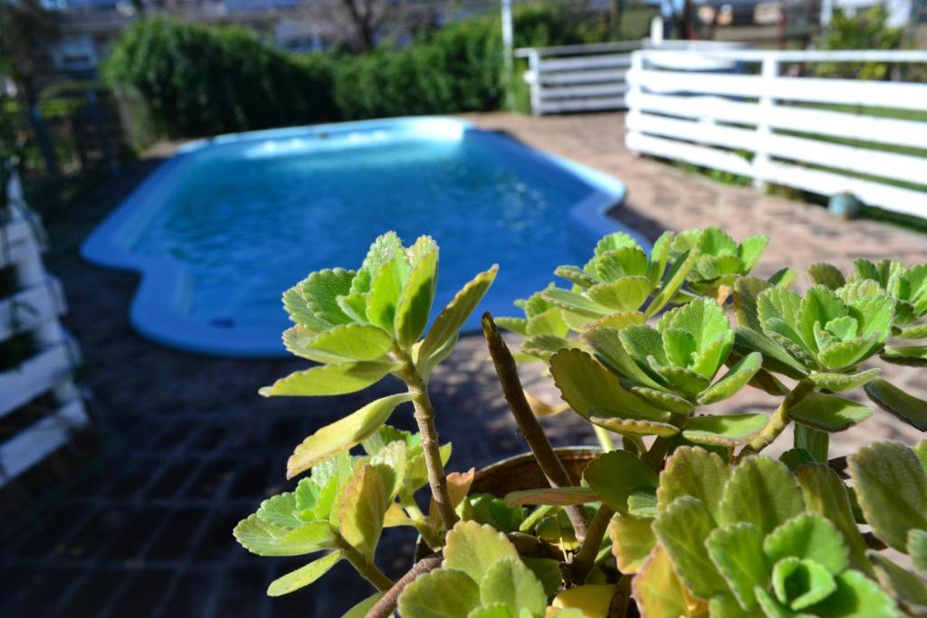 La pileta dentro o cerca de Yataí Casas