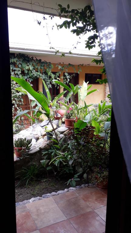 Zahrada ubytování Posada Gema de Copan